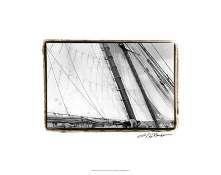 Under Sail III by Laura Denardo art print