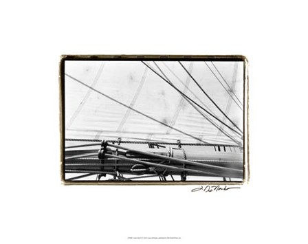 Under Sail IV by Laura Denardo art print
