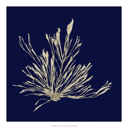 Seaweed on Navy III by Vision Studio art print