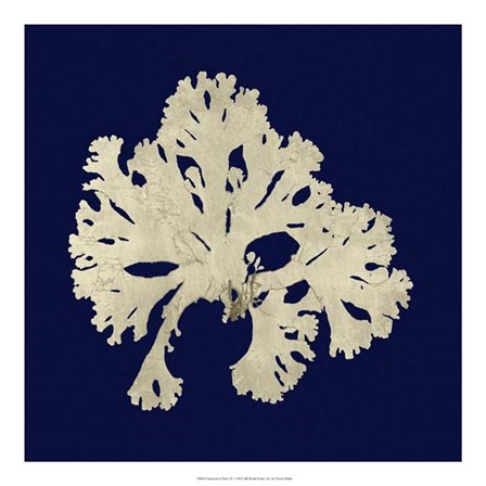 Seaweed on Navy IV by Vision Studio art print