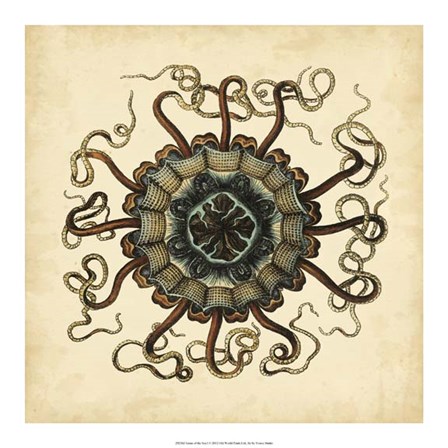 Gems of the Sea I by Vision Studio art print