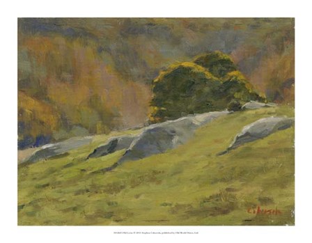 Old Lyme by Stephen Calcasola art print