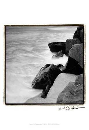 Incoming Tide IV by Laura Denardo art print