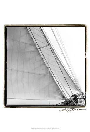 Undersail I by Laura Denardo art print