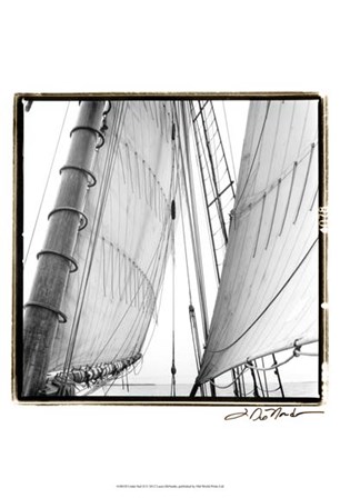 Undersail II by Laura Denardo art print