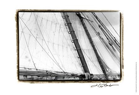 Undersail III by Laura Denardo art print