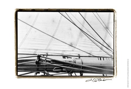 Undersail IV by Laura Denardo art print