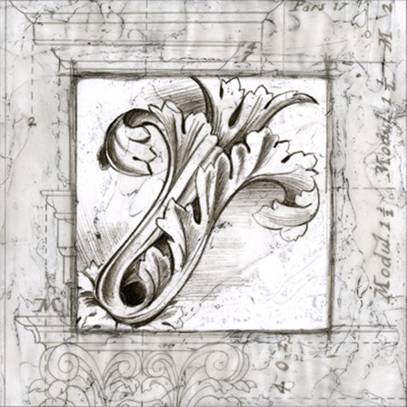 Acanthus Detail IV by Ethan Harper art print