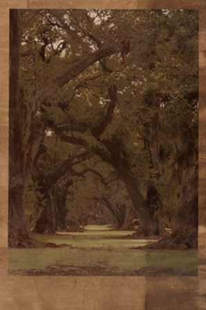 Low Country Trees I by Sisa Jasper art print