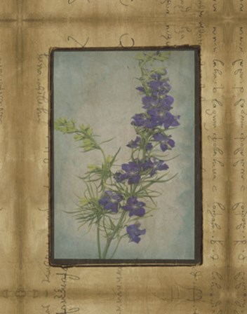 Photographic Floral Collage I by Ethan Harper art print