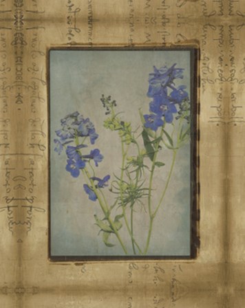 Photographic Floral Collage II by Ethan Harper art print