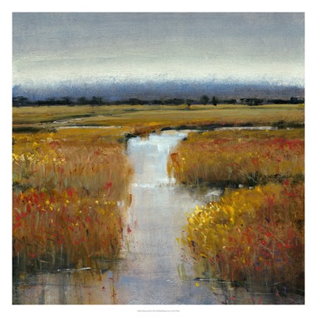 Marsh Land II by Timothy O&#39;Toole art print
