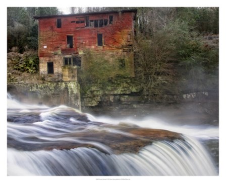 Steamy Morning by Danny Head art print