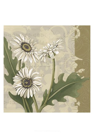 Paris Daisy II by Chariklia Zarris art print