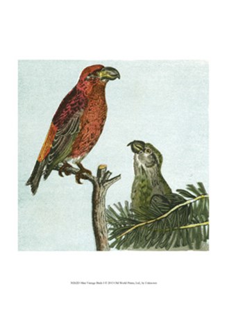 Mini Vintage Birds I art print