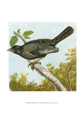 Mini Vintage Birds IV art print