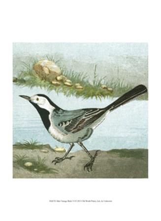 Mini Vintage Birds VI art print