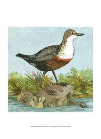 Mini Vintage Birds VII art print