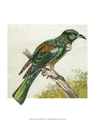 Mini Vintage Birds IX art print