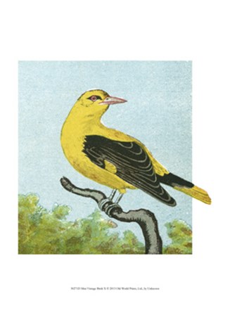 Mini Vintage Birds X art print