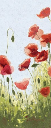 Mountain Poppies II by Shirley Novak art print