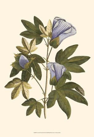 Lavender Floral II by Vision Studio art print