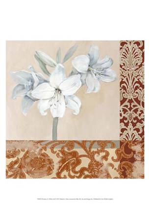 Portrait of a White Lily by Marietta Cohen art print