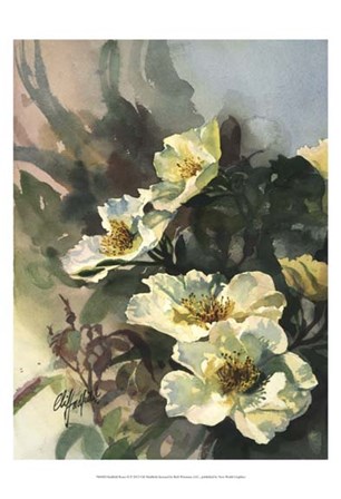 Hadfield Roses II by Clif Hadfield art print