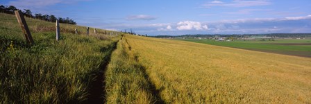 Wooden fence along a farm, Ebey&#39;s Prairie, Whidbey Island, Island County, Washington State, USA by Panoramic Images art print