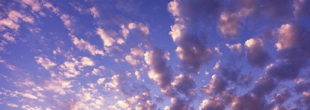 Low angle view of clouds, Caribbean Sea by Panoramic Images art print
