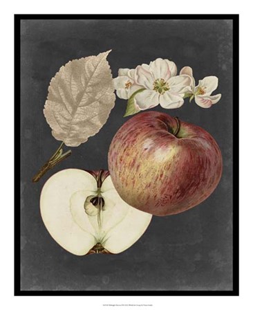 Midnight Harvest II by Vision Studio art print