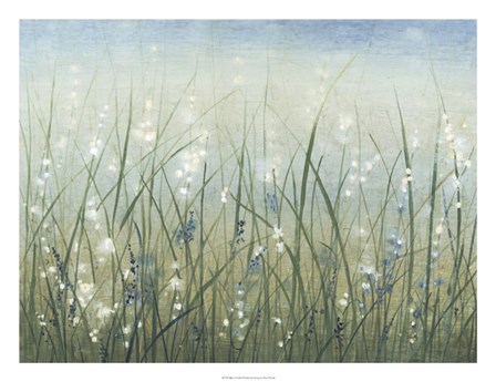 Bliss I by Timothy O&#39;Toole art print