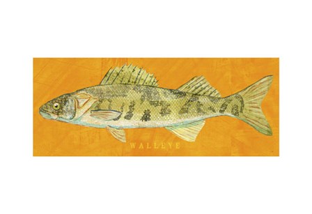 Walleye by John W. Golden art print