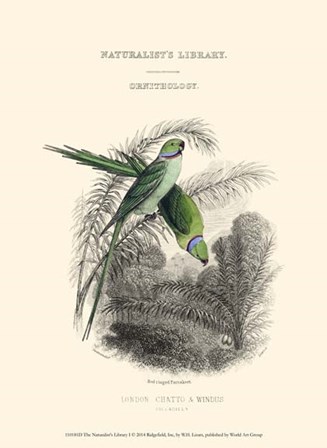 The Naturalist&#39;s Library I by W.h. Lizars art print