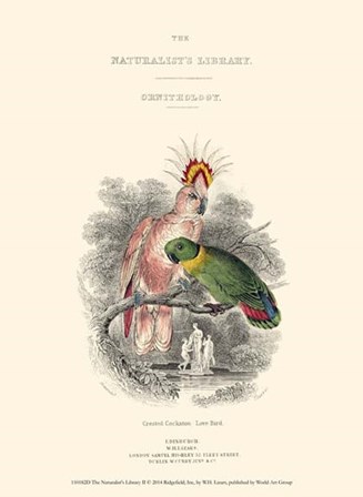 The Naturalist&#39;s Library II by W.h. Lizars art print