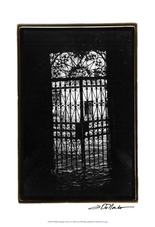 Hidden Passages, Venice I by Laura Denardo art print