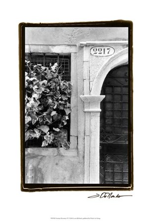 Venetian Doorways IV by Laura Denardo art print