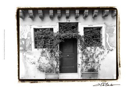 Venetian Doorways V by Laura Denardo art print