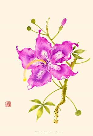 Hibiscus Flower I by Nan Rae art print
