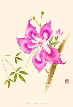 Hibiscus Flower II by Nan Rae art print