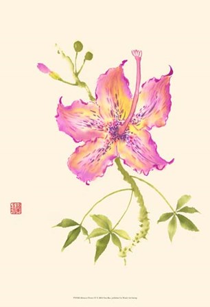 Hibiscus Flower IV by Nan Rae art print