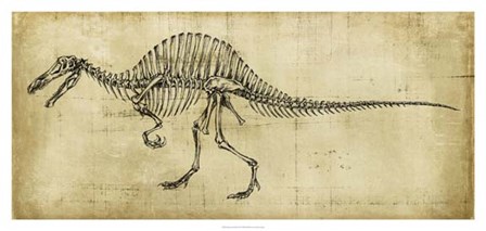 Spinosaurus Study by Ethan Harper art print