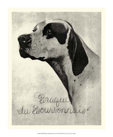 B&amp;W Brague du Bourbonnais by Vision Studio art print