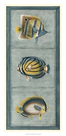 Tropical Fish Trio I by Vision Studio art print