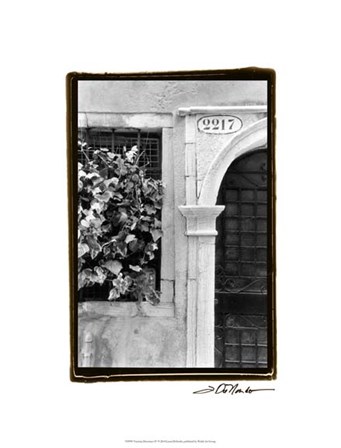 Venetian Doorways IV by Laura Denardo art print