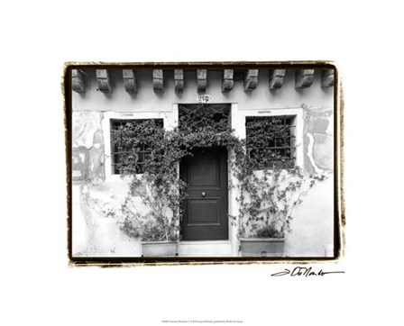 Venetian Doorways V by Laura Denardo art print