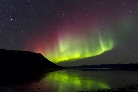 Aurora Borealis with Big Dipper over Kluane Lake, Yukon, Canada by Joseph Bradley/Stocktrek Images art print