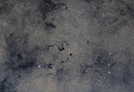 Snake Nebula in Ophiuchus by John Davis/Stocktrek Images art print