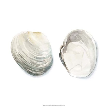 Watercolor Shells II by Megan Meagher art print