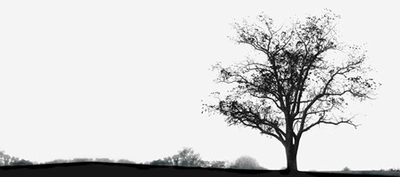 Almost Winter by Erin Clark art print